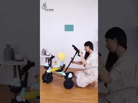 R for Rabbit Tiny Toes T20 Plus Tricycle - 2 in 1, Rubber Wheels, Adjustable Parental Control