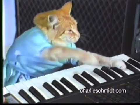 Keyboard Cat Recording 2