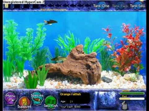 fish tycoon nintendo ds rom