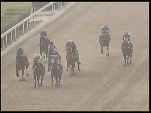 2019-03-03 Race 7(0175) - JAI ALAI HOTEL CUP (Sand Mile Group 3 Open) (GROUP 3)