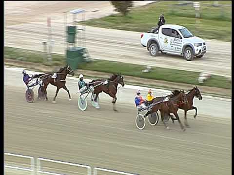 Trotto 26/03/2019 - 2ª corsa