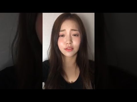 아이콘