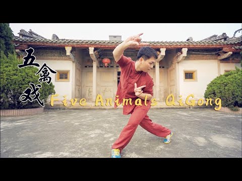 Five Animals QiGong | 14 Days FREE online learning with Master Ping