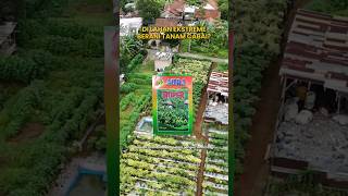 Download lagu The first 1,000 customers will receive direct guidance from the author of this powerful book. Ple... mp3 Download lagu The first 1,000 customers will receive direct guidance from the author of this powerful book. Ple... mp3