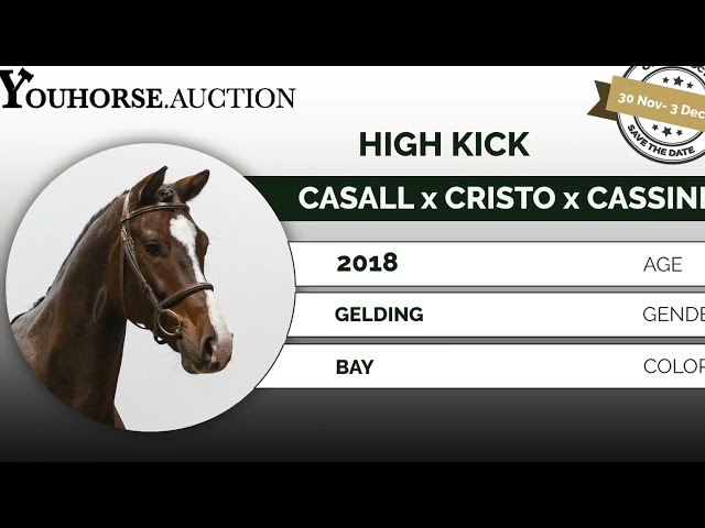High Kick winner