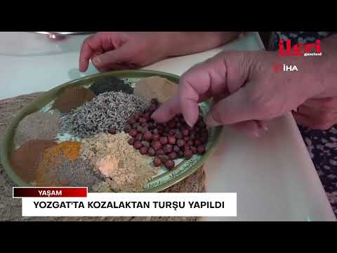 Yozgat'ta kozalaktan turşu yapıldı | İleri Gazetesi
