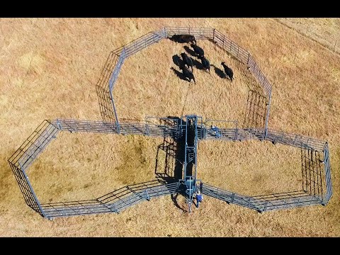 Rawhide Portable Corral - 20 Years