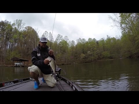 GoPro: Shannon Wheeler - Best Catch 6.19.15 - Fish