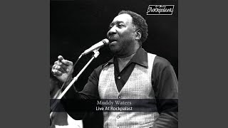 Download Lagu I'm Your Hoochie Coochie Man (live at Open Air Festival Loreley (Germany), June 23, 1996) Thumbnail