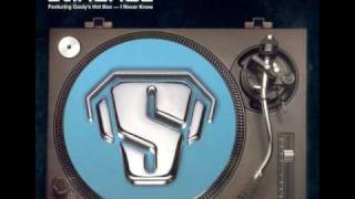 Roger Sanchez - I Never Knew (feat. Cooly's Hot Box) (First Contact album mix)