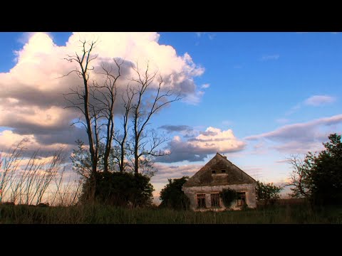 BORIS KOVAČ / New Ritual Quartet : Chamber Music