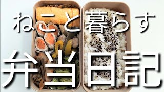 ねこと暮らす前日作り置き弁当日記です