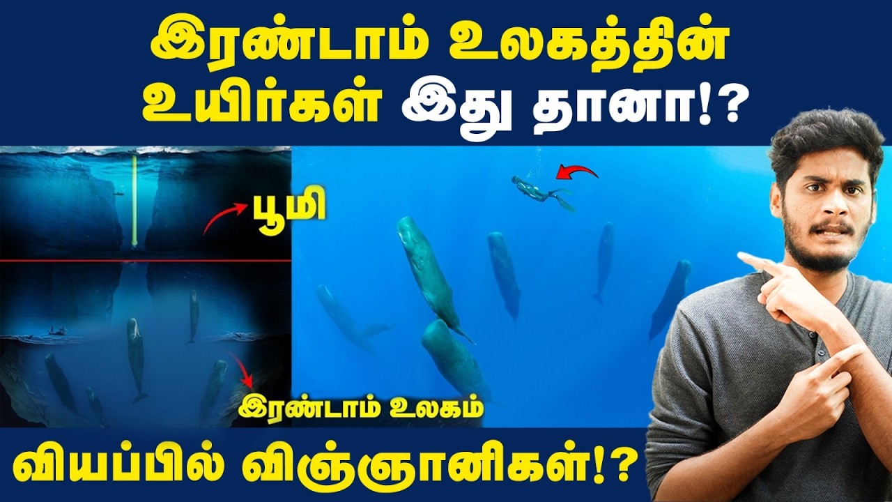 விந்தணுக்களை தலையில் சுமக்கும் உயிரினம் - விஞ்ஞானி?