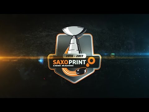 Amiens - Epinal • 13/01/2017