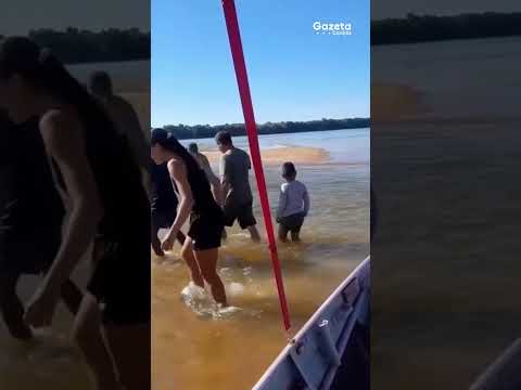 Boto encalha em praia no Pará e mobiliza moradores para o resgate