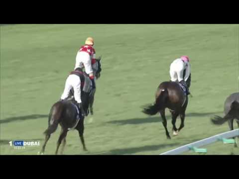 2016.10.02 Sprinters Stakes (JPN) - Red Falx
