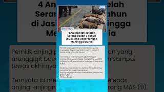 Begini Pengakuan Pemilik Anjing yang Gigit Bocah 9 Tahun di Bogor hingga Tewas