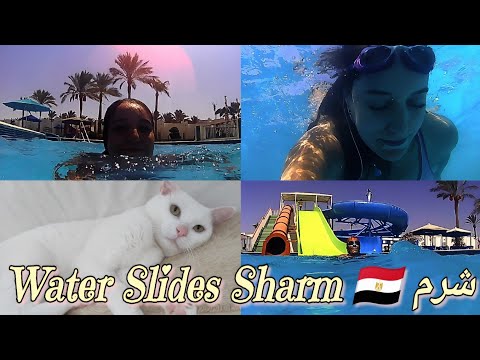 🇪🇬 ✈️ #Egypt #Vlog ☀️ فلوق #مصر#