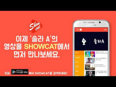 [공지] 솔라A x SHOWCAT