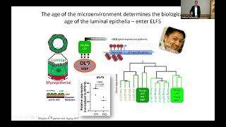 Tissues Tell Time: Aging Signatures that Predict Breast Cancer Risk | 2025 BRCA Scientific Symposium
