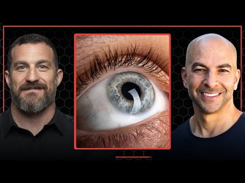 Why humans evolved to have better vision over smell | Peter Attia and Andrew Huberman