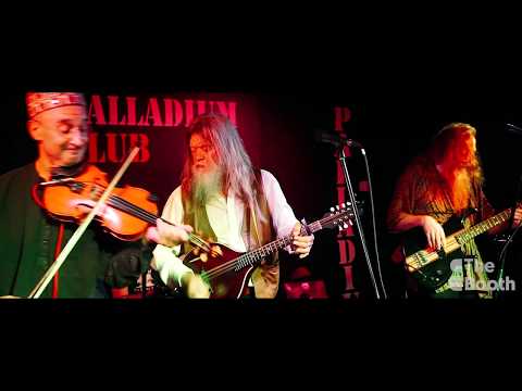 The Porbeagles | Three Lines and a Whip | Davey Dodds