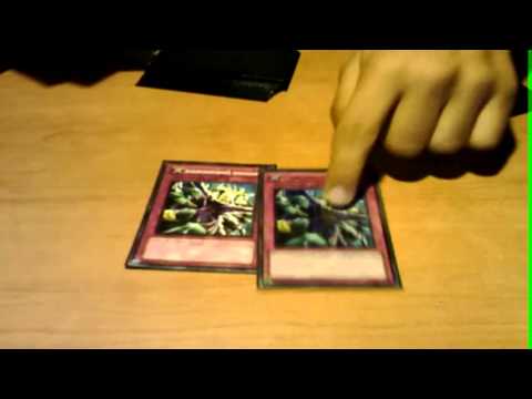 Deck Profile:Gravekeeper