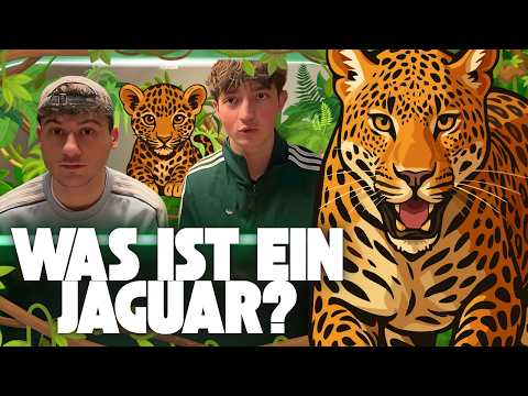 Was ist eigentlich ein Jaguar?