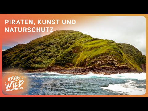 Schatzinsel Kokos: Die größte Kunstexpedition im Pazifik