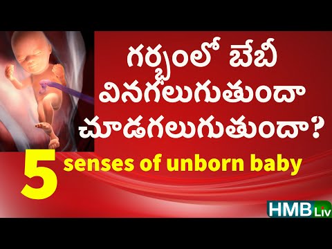 గర్భంలో బేబీకి "చూపు , వినికిడి, రుచి, వాసన, స్పర్శ " video in telugu - 5 senses of baby