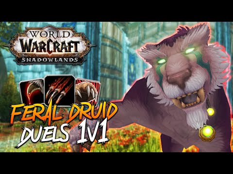 FERAL DRUID DUELS!!! Feral Druid PvP - WoW: Shadowlands 9.0 Prepatch 1v1