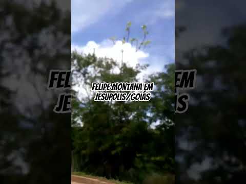 Felipe Montana em Jesupolis Goiás.