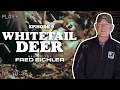 Hunting Whitetail Deer In PA Narrated By Fred Eichler