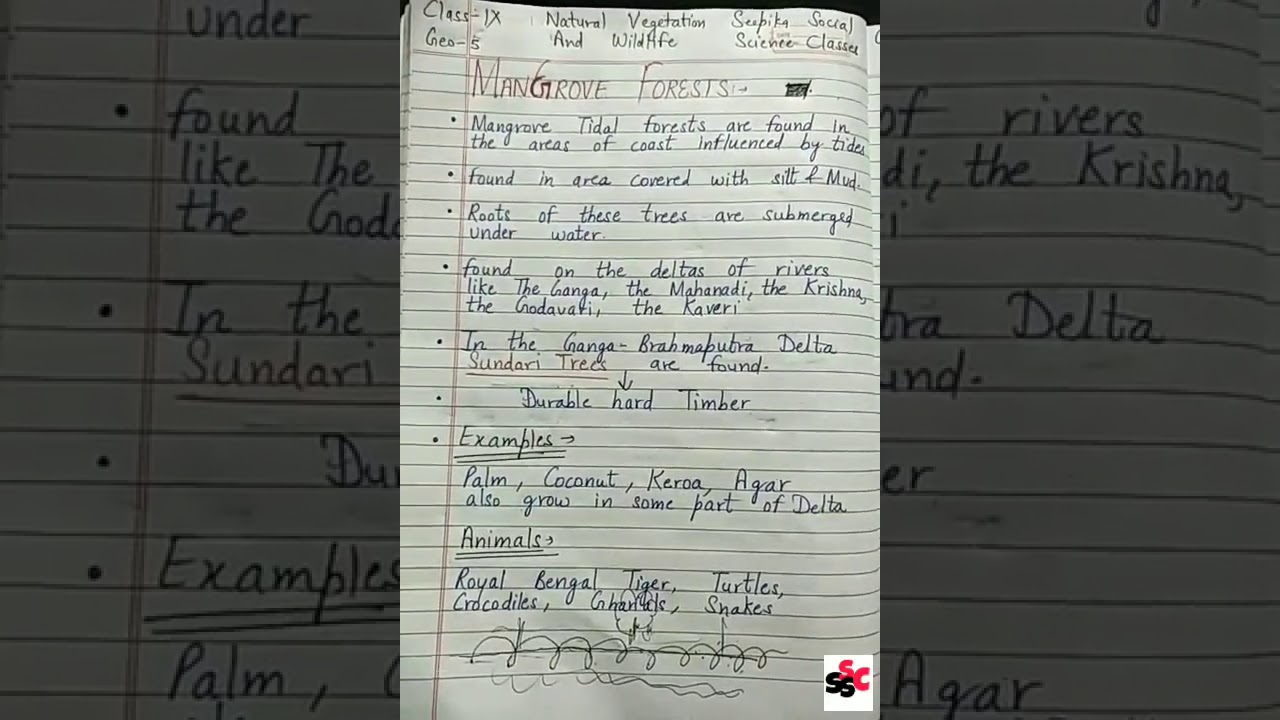 5.9 Mangrove Forests /  Chapter-5 (Geo) / Natural Vegetation and Wildlife / Class-9th
