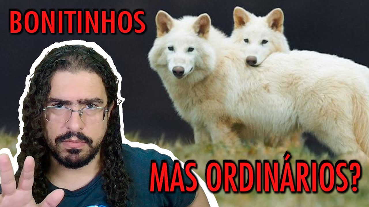 RESPONDENDO COMENTÁRIOS SOBRE A "DESEXTINÇÃO" DO DIREWOLF (#Pirula 391.2)