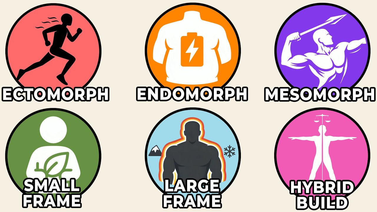 Every Hidden Evolutionary Advantage of Your Body Type Explained