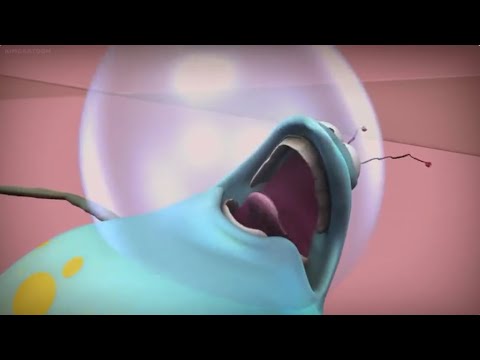 All Burps from Erky Perky