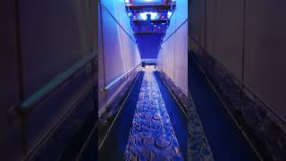 Now entering the Awesome Princess theater on Discovery Cruise | Discovery Princes Cruise Review 2025