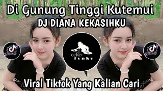 Download lagu DJ DI GUNUNG TINGGI KU TEMUI || DIANA KEKASIHKU REMIX LAGU TIMUR VIRAL FYP TIKTOK TERBARU mp3