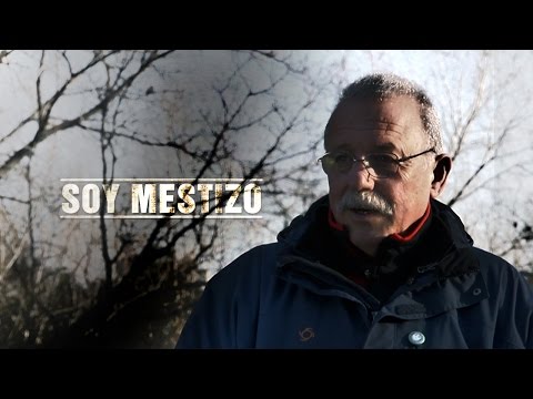 Soy mestizo