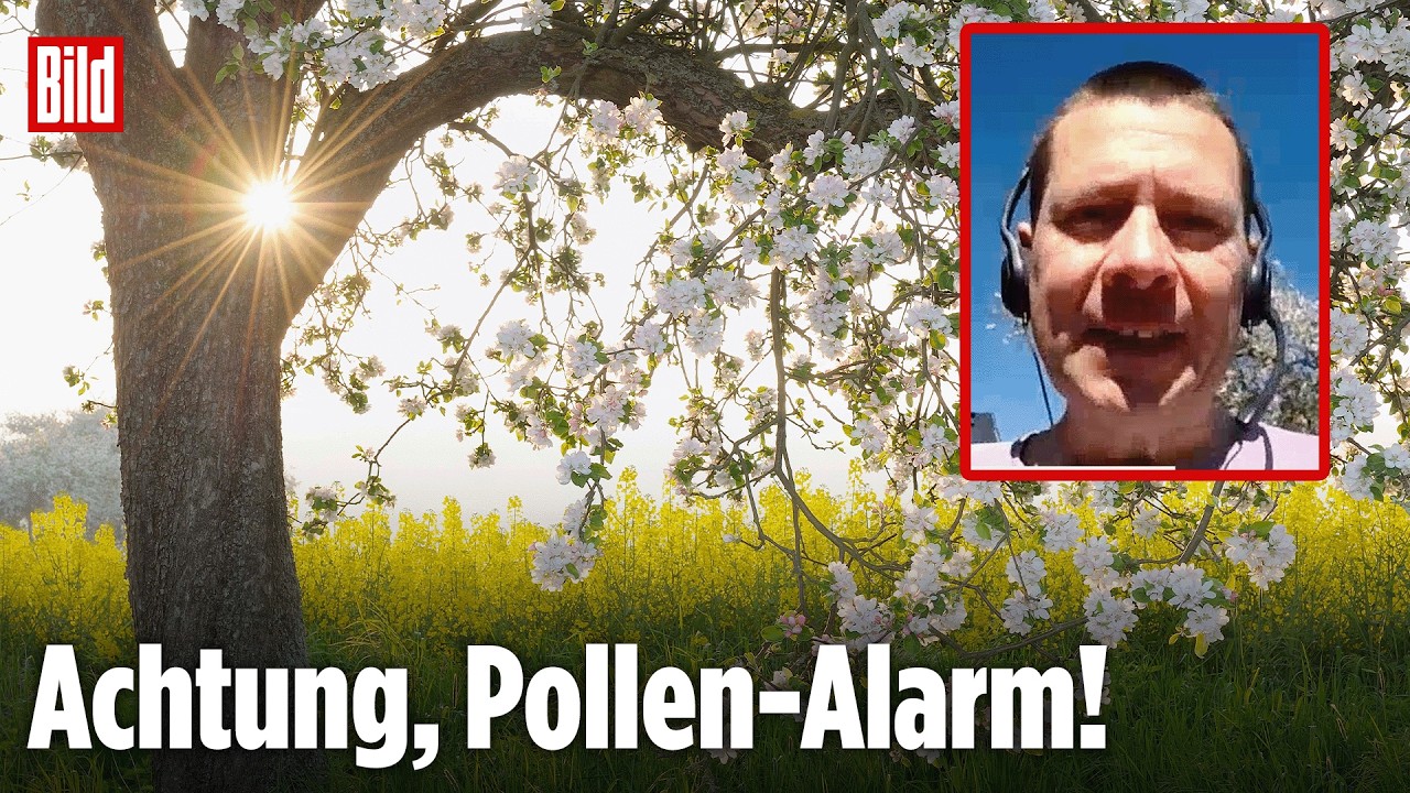 WETTER IN DEUTSCHLAND: Kälte trotz Sonne – Experte erklärt späten Frühling