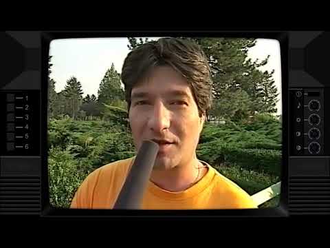 Plugusorul arabesc FULL VIDEO