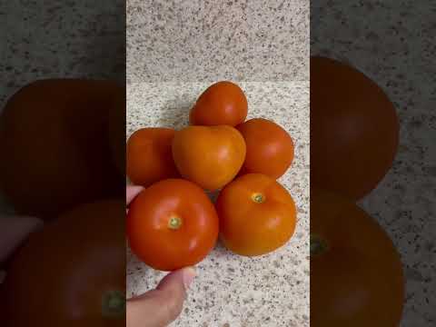 Big fresh tomatoes.