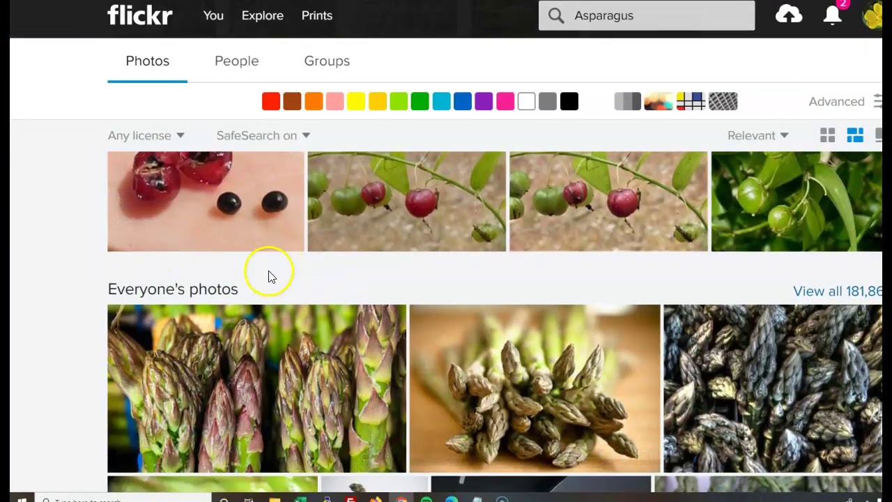 Working with Flickr Albums