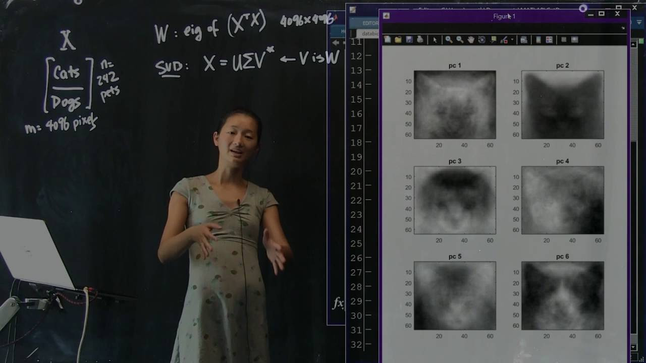 Dimensionality Reduction: Exploring the World of Principal Components