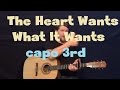 The Heart Wants What It Wants - Guitar Lesson ...