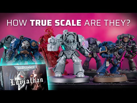 Stahly (Tale of Painters) and Tale of Painters Unboxings