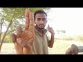 ASMR Cranial Nerve Exam Outdoor