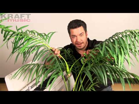 Kraft Music - OUTTAKE Korg LP-180 Safari with Rich Formidoni