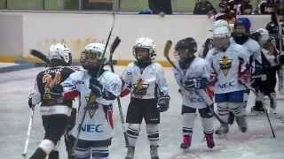 preview picture of video 'HDK Maribor - Lisjaki U8'